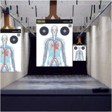 BBOSS TARGETS Human Anatomy 20x30 Shooting Target